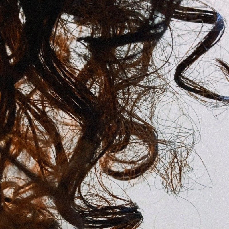 Close-up van gedefinieerde krullen na een curly dry cut bij Tint in Ede